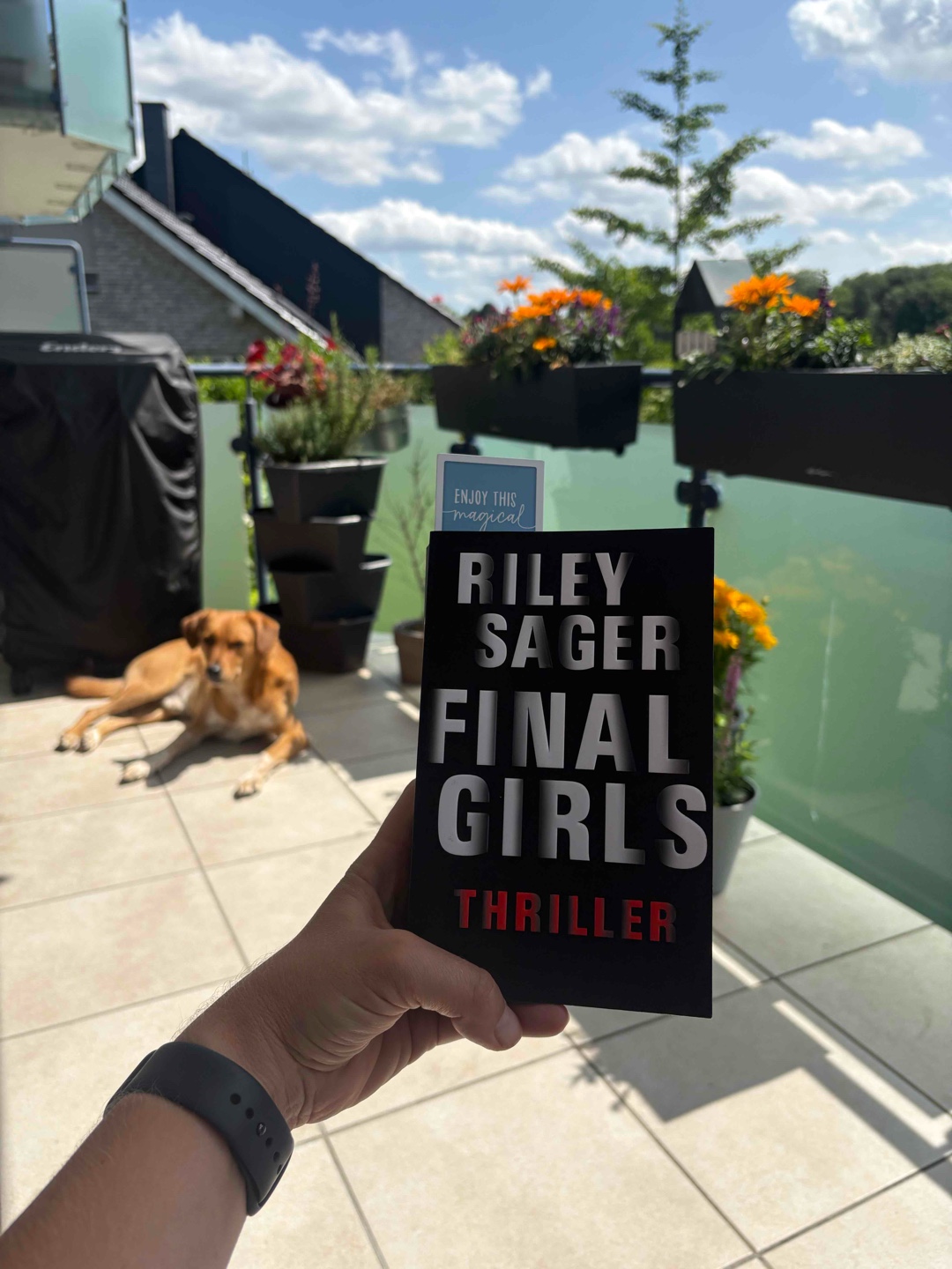 Endlich habe ich das Buch finalisiert! Langeweile am laufenden Meter, jede Seite eine langweiligere Geschichte. Nein, nein Mr. Sager, das geht besser!
