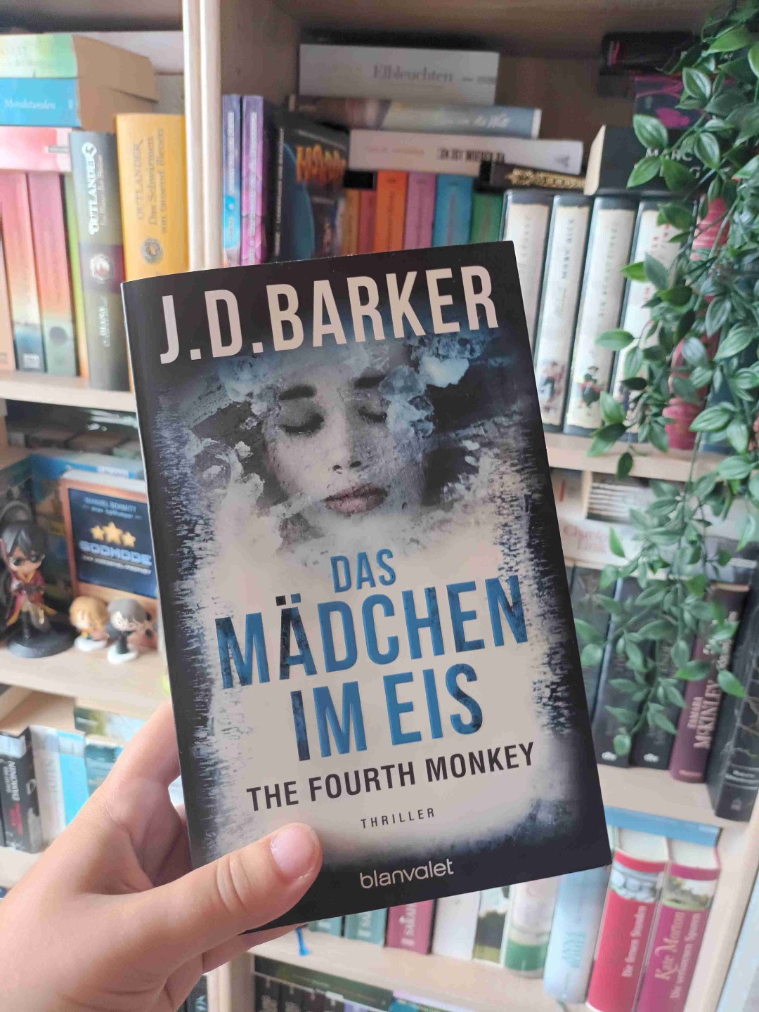 Toller Thriller mit ein paar kleinen Längen