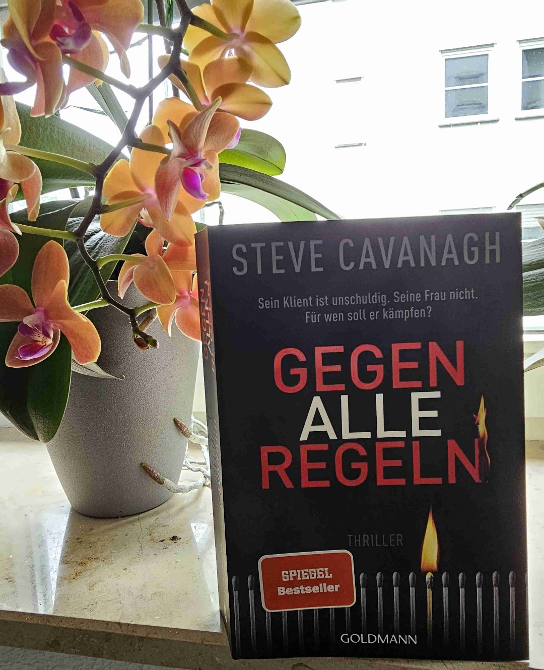 Was benötigt man, um den größten Coup der amerikanischen Finanzgeschichte zu vollbringen?
Richtig, viele offizielle Behörden die inoffziell agieren und ein junger, milliardenschwerer Bursche.. und natürlich Eddie Flynn 👨‍⚖️

Womit mal wieder niemand rechnet? Mit der Trickkiste des gewieften Anwalts.. 🧙‍♂️
Und einem Staatsanwalt, der ihm durchaus einiges abverlangt 😅

In Teil 2 "Gegen jede Regel" vertritt Eddie einen Jungen, der wegen Mordes verurteilt werden soll. Schafft er es wieder, auch diesen Fall auf seine Seite zu ziehen oder wird er dieses mal scheitern?

Volle 5 🌟 für dieses Meisterwerk von Steve Cavanagh 