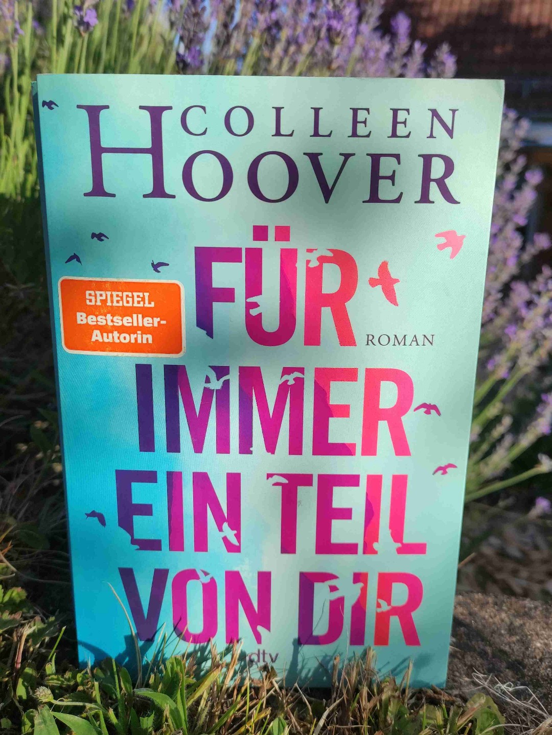 Ich war ja von den Büchern "Nur noch ein einziges Mal" und "Nur noch einmal und für immer" relativ enttäuscht, aber das fand ich jetzt richtig richtig gut. Sehr schön geschrieben, man kann so richtig mit empfinden und die Emotionen, die bei mir bei den anderen beiden so gar nicht durch und durch gingen, haben mich hier aber die ein oder andere Träne verdrücken lassen 😅