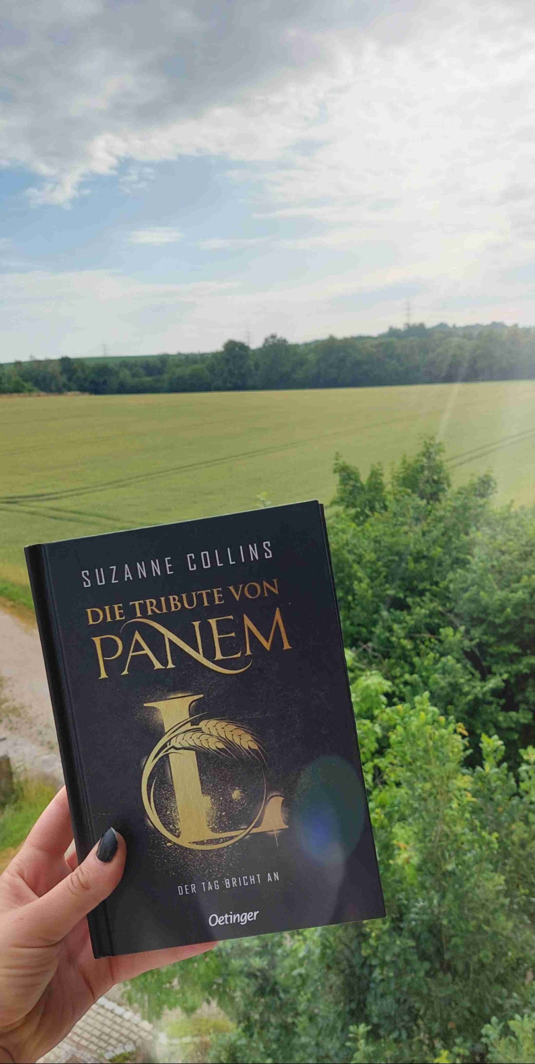 Endlich erfahren wir Haymitch's Geschichte 🙏