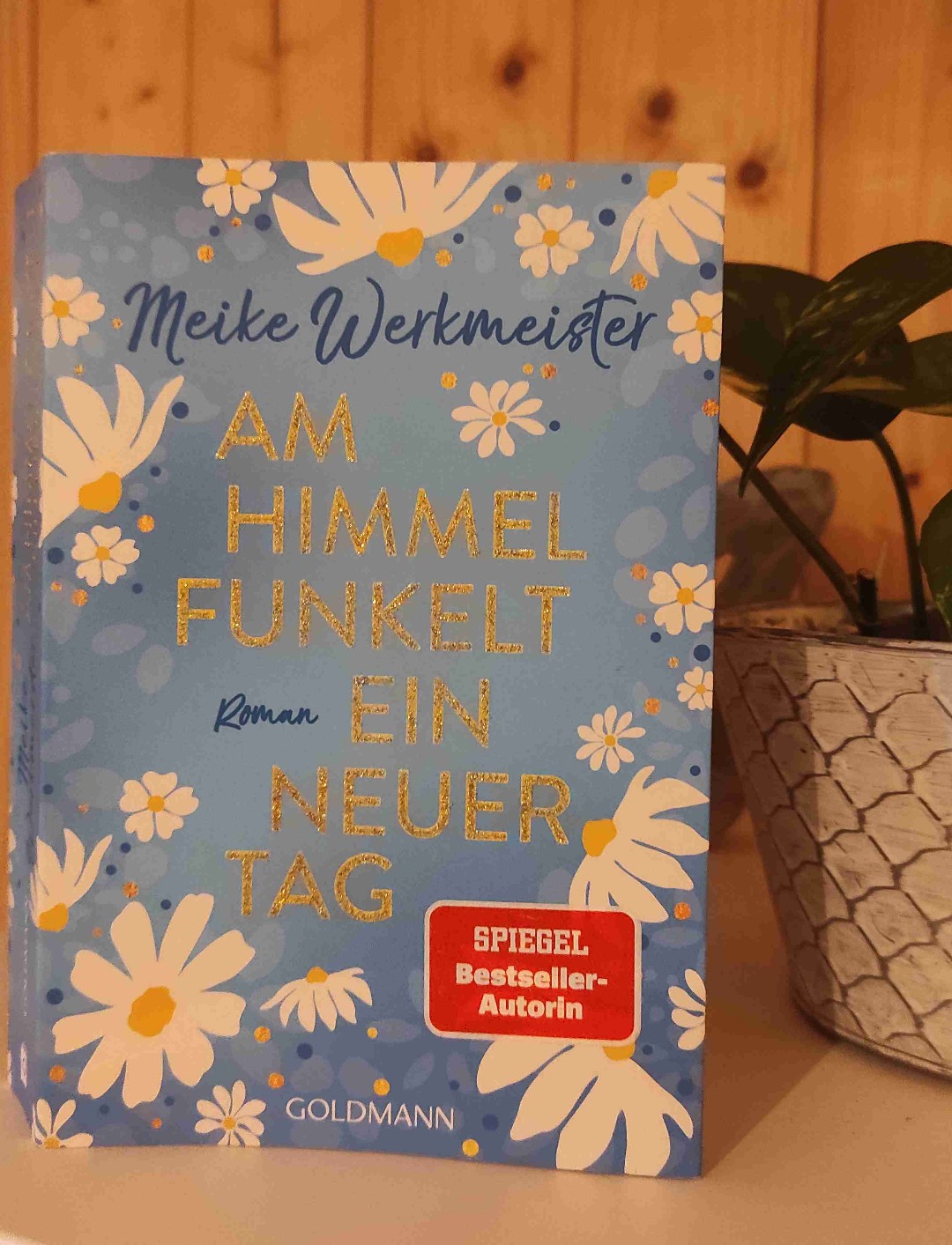 Ich mag die Bücher von Meike Werkmeister.
So auch dieses. Es hat einen flüssigen Schreibstil,wirft während dem Lesen einige Fragen auf und das Ende ist nicht vorhersehbar.
Ich mochte die Geschichte von Zoé und ihrem Jahr in London.