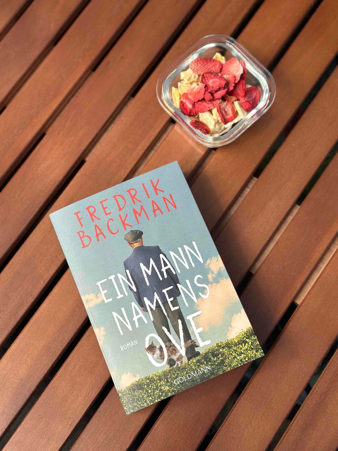 ⭐️⭐️⭐️⭐️⭐️ Sterne
Platz 100 der besten Bücher des 21. Jahrhunderts
(New York Times Reader’s Choice Liste)
