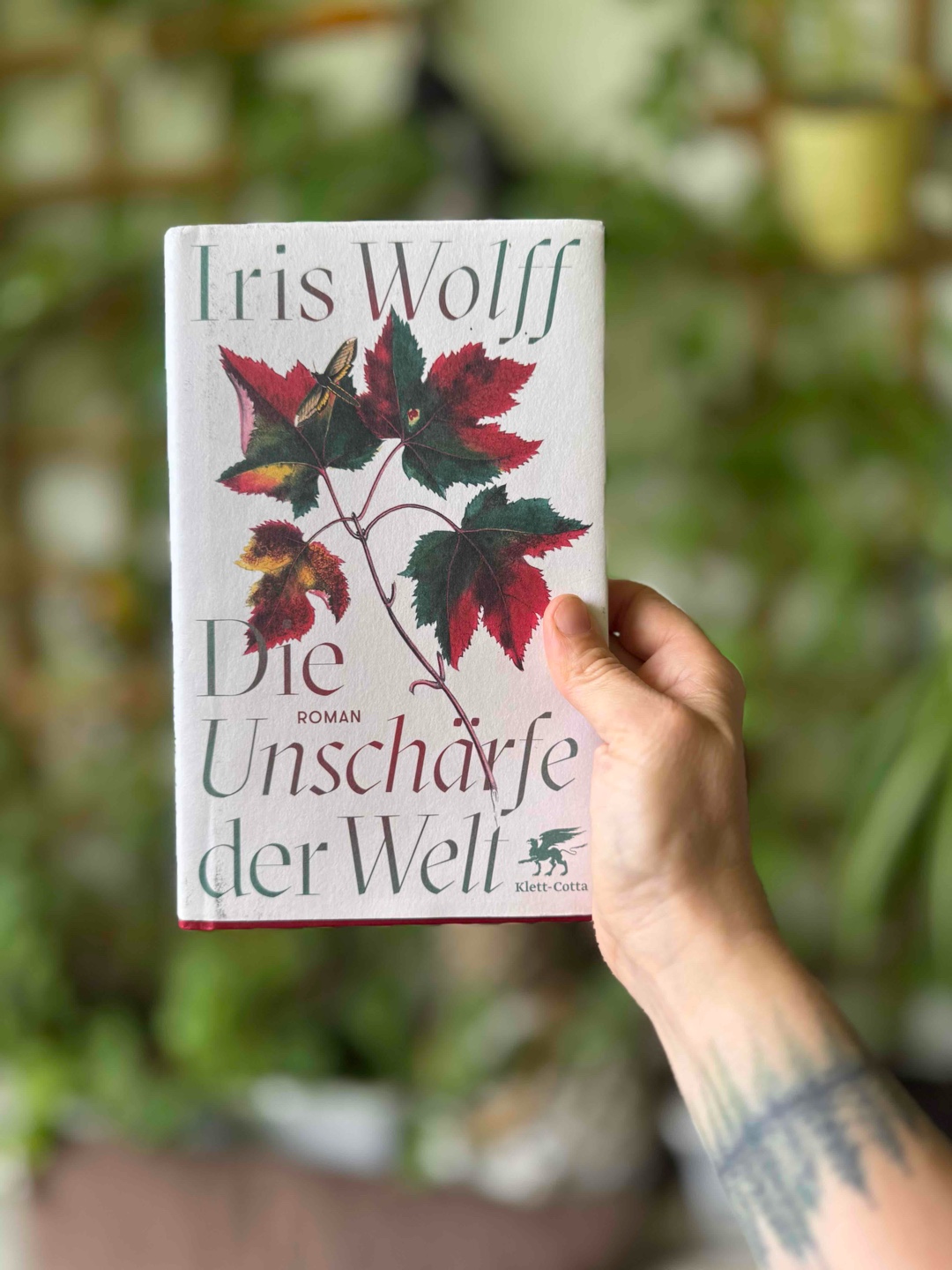 Wunderwunderschön 