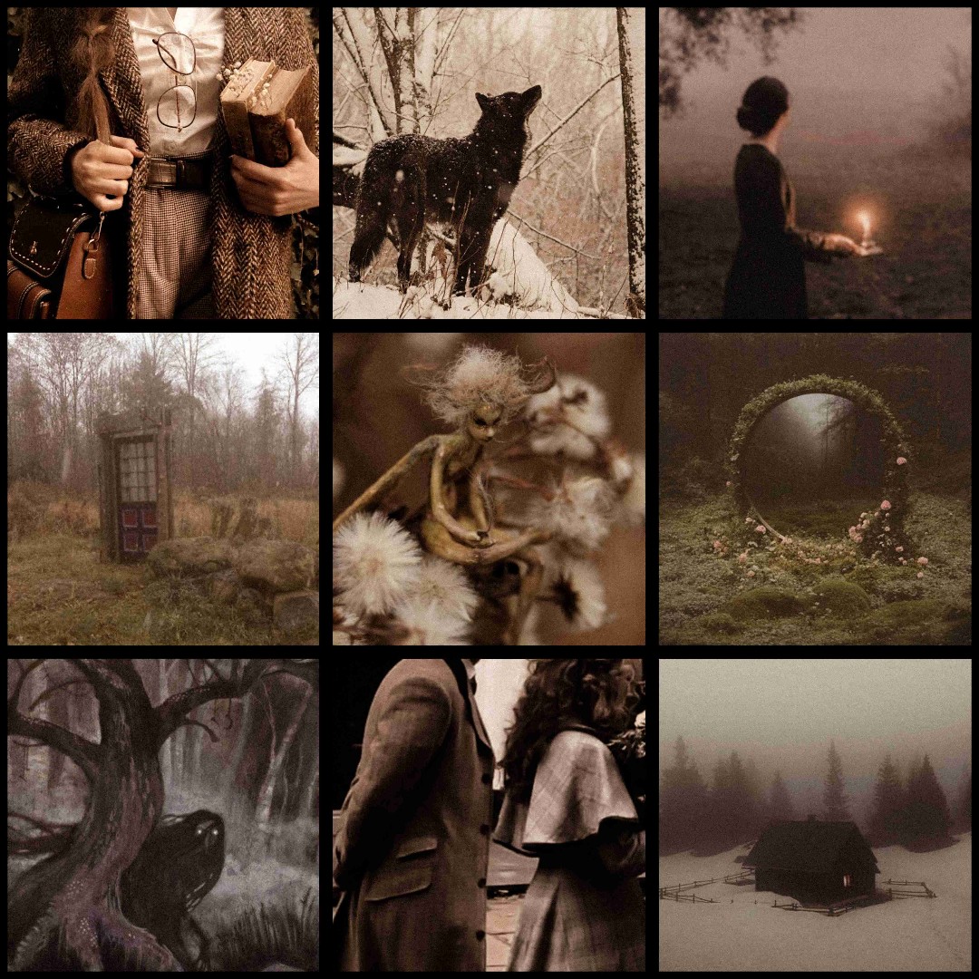 Emily Wilde - Aesthetic