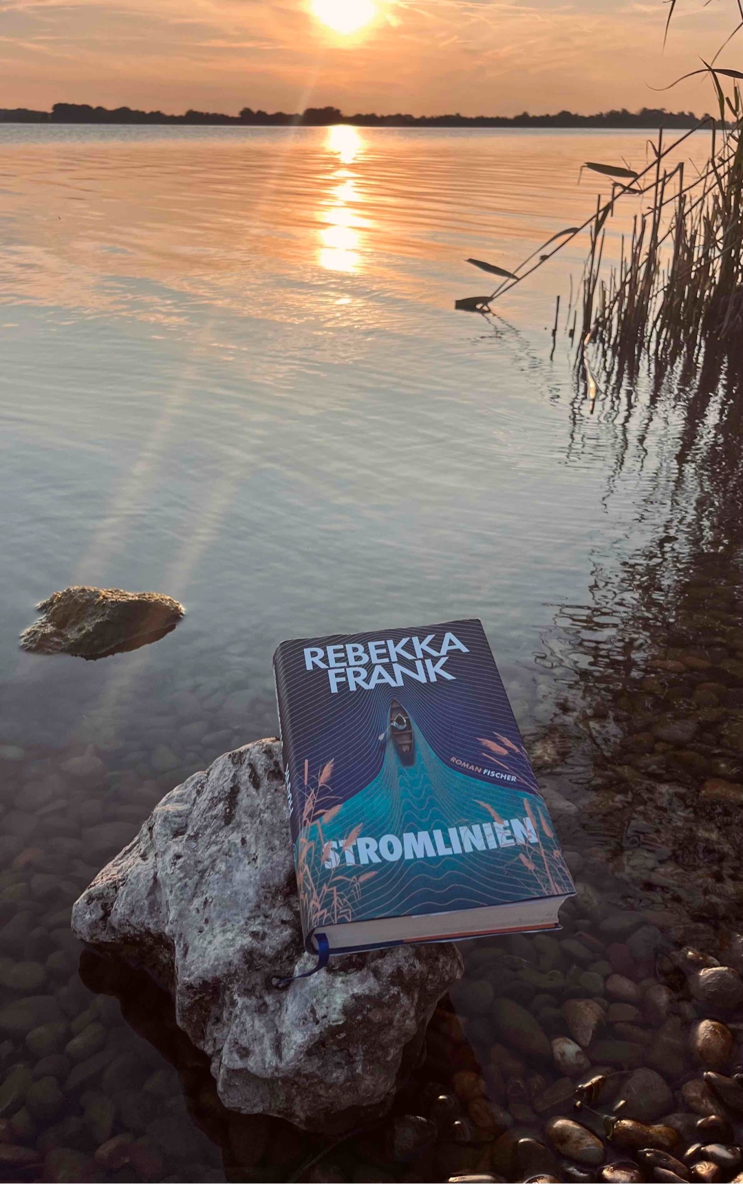 „Und Jale und ich waren mit unserem Boot zwischen den Ufern hin und her gefahren, ohne Orientierung, ohne Halt, ohne auch nur die geringste Ahnung zu haben, woher dieses Loch kam, das inmitten unserer Familie klaffte, inmitten von uns selbst. Es war tiefer als die Elbe an ihrer dunkelsten Stelle. Und sein Sog stärker als alle Strudel unseres Flusses.“