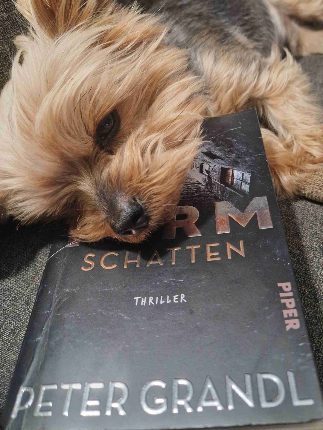 Dieses Buch ist extrem fesselnd und eine klare Leseempfehlung!
Auch wenn Yoshi ein Nickerchen darauf machte ..Ich konnte es selten aus der Hand legen.
Aktuelle Zeitgeschichte fliest hier gut recherchiert in einen spannenden Polit Thriller.