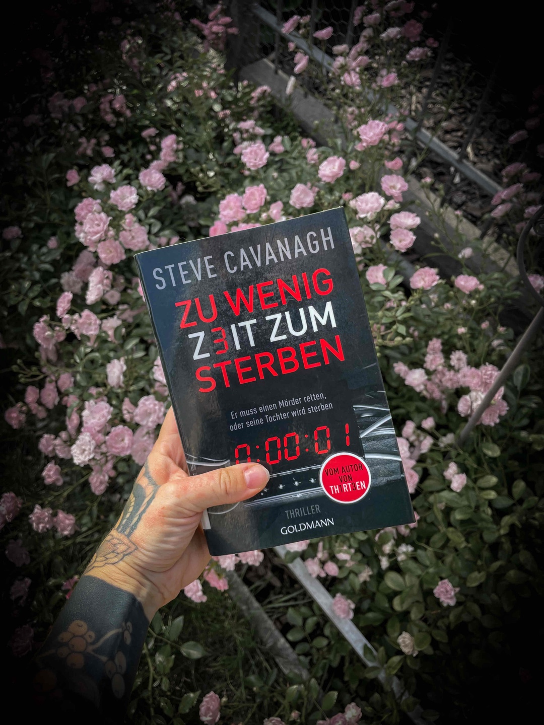 Empfehlung!! 🏛️