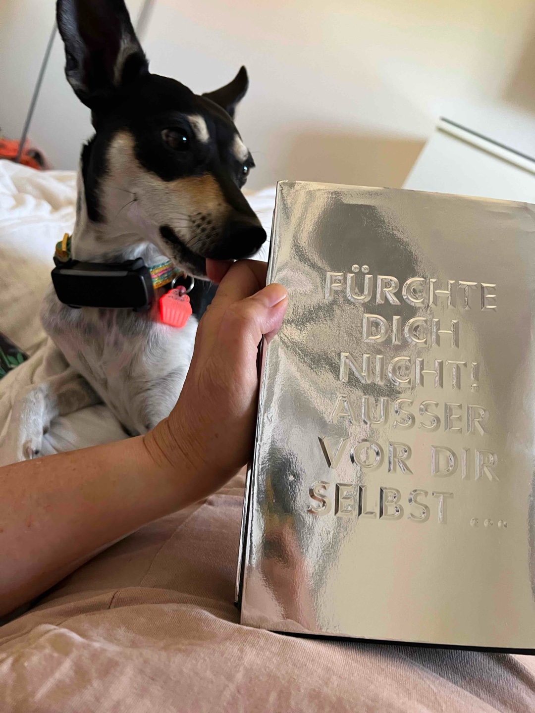 Habe zum ersten Mal einen Fitzek gelesen und ja, er liest sich gut :).