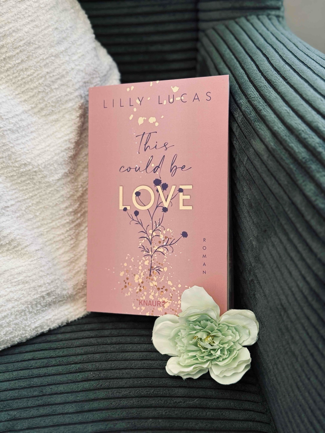 This could be LOVE – Lilly Lucas 🌺
⭐️⭐️⭐️⭐️⭐️
