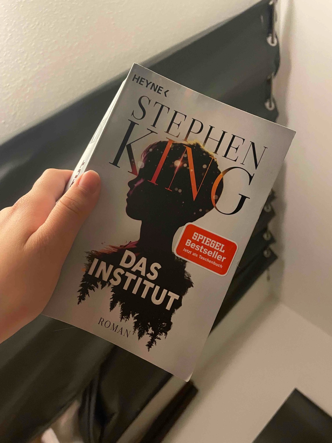 Mein erster Stephen King und dazu eigentlich sehr gut