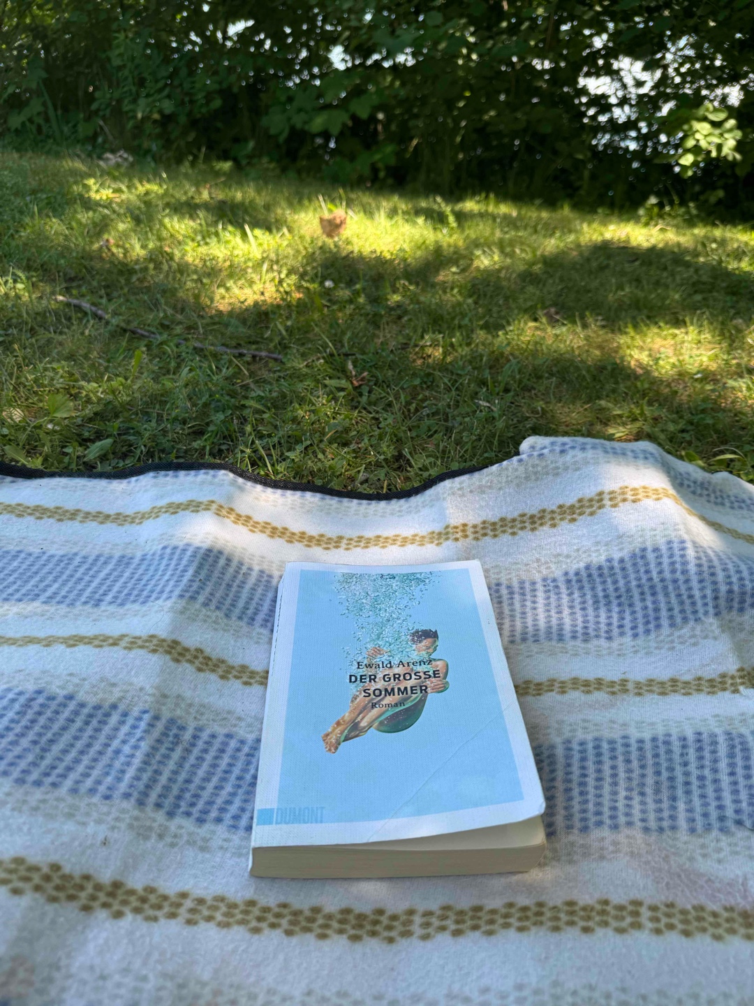 Ein toller Roman für den Sommer