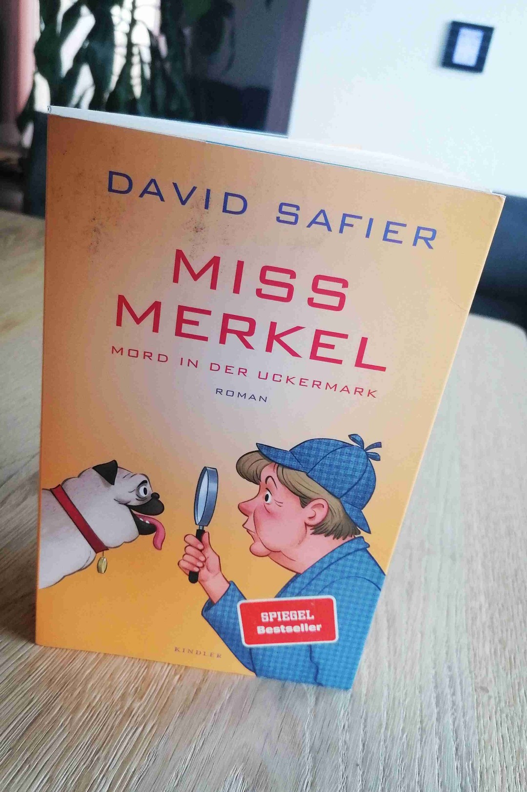 Humorvoller Krimi mit einer ungewöhnlichen Ermittlerin im Ruhestand - oder auch: Angela's andere Seite.