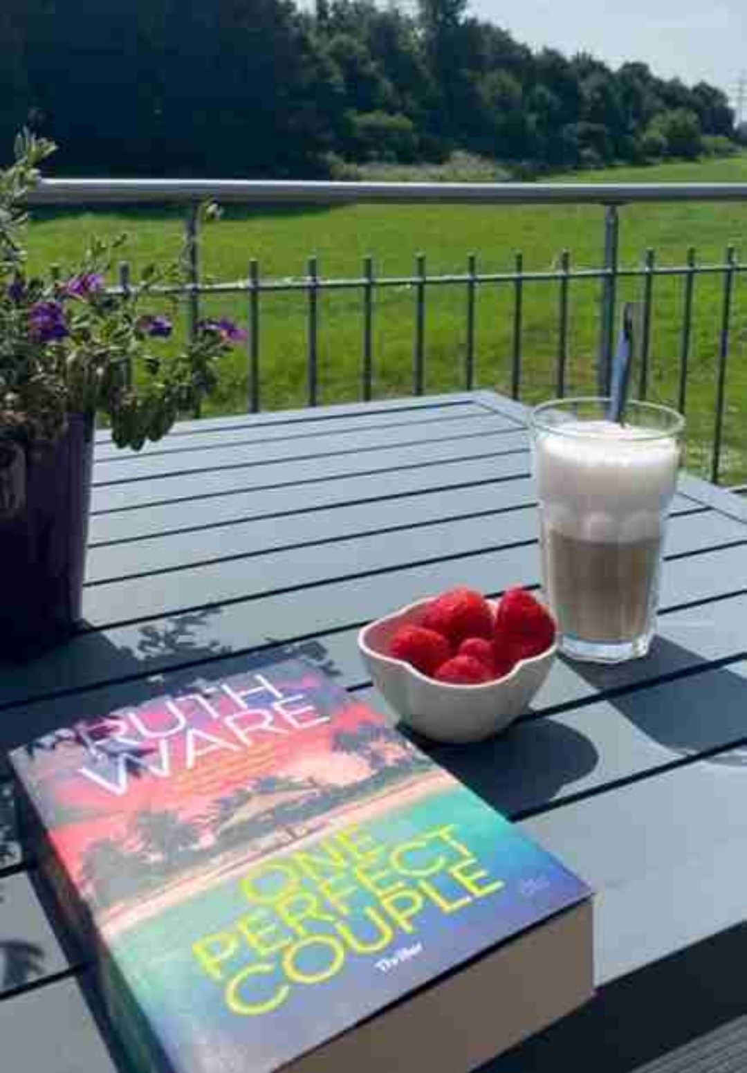 Couple TV Show wird zum Albtraum, das Buch ist jedoch keiner 🏝