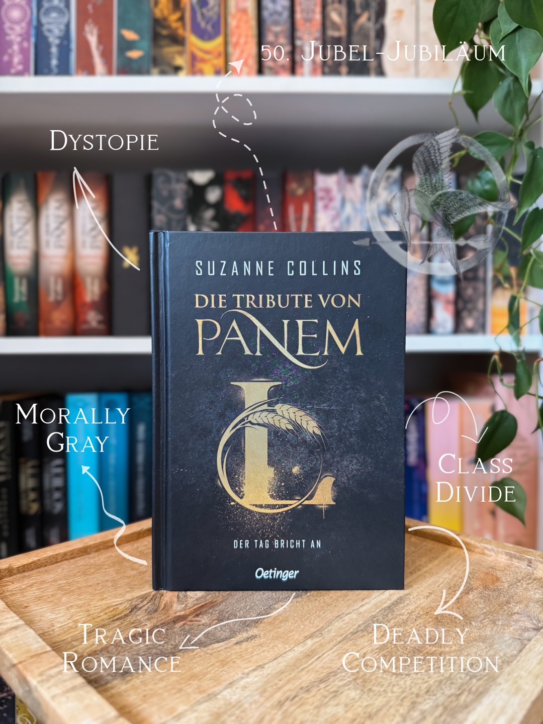 Zerbrochene Hoffnung, düstere Wahrheit – Suzanne Collins trifft wieder mitten ins Herz 💔