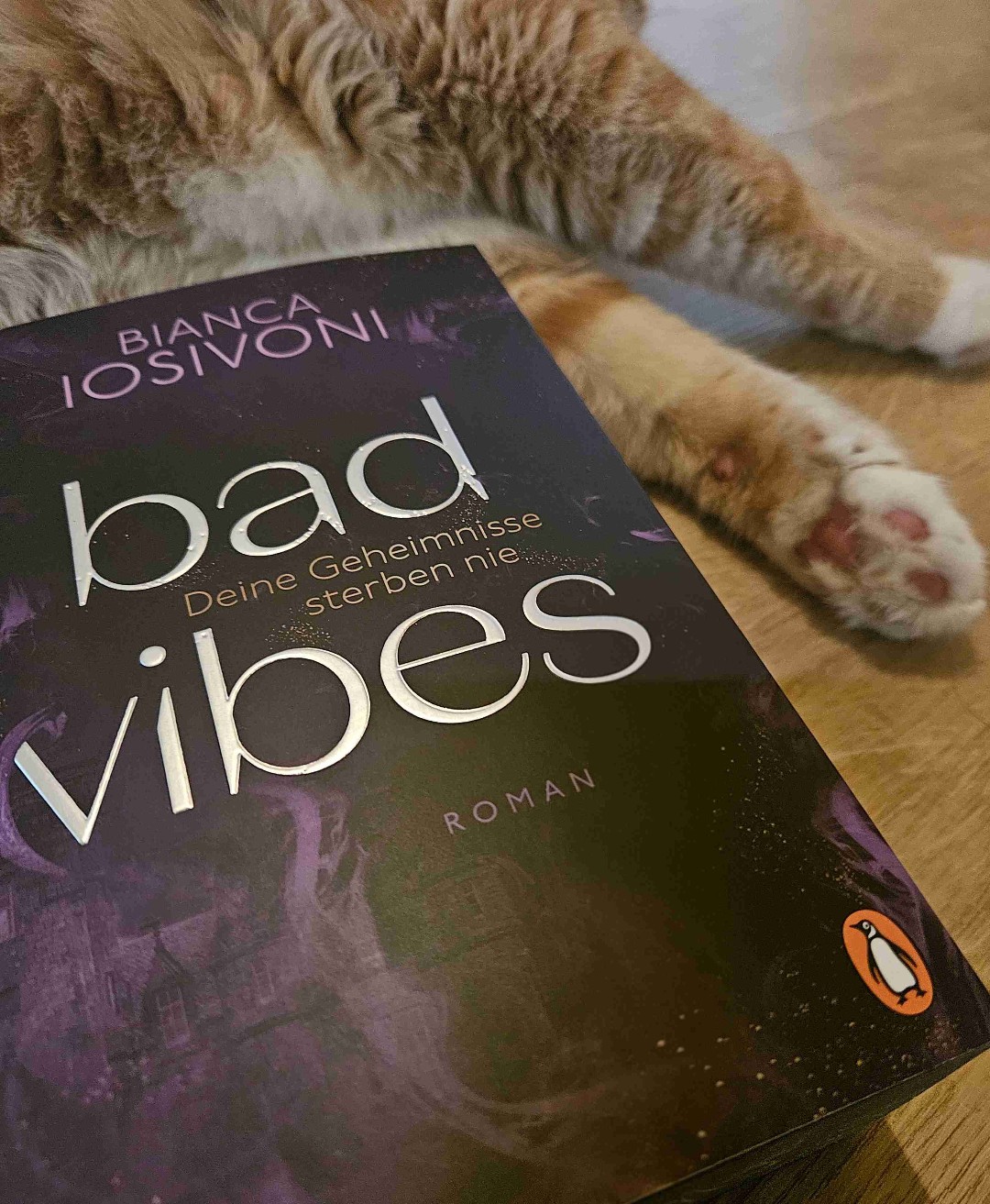 Statt Bad Vibes für mich Mixed Vibes 