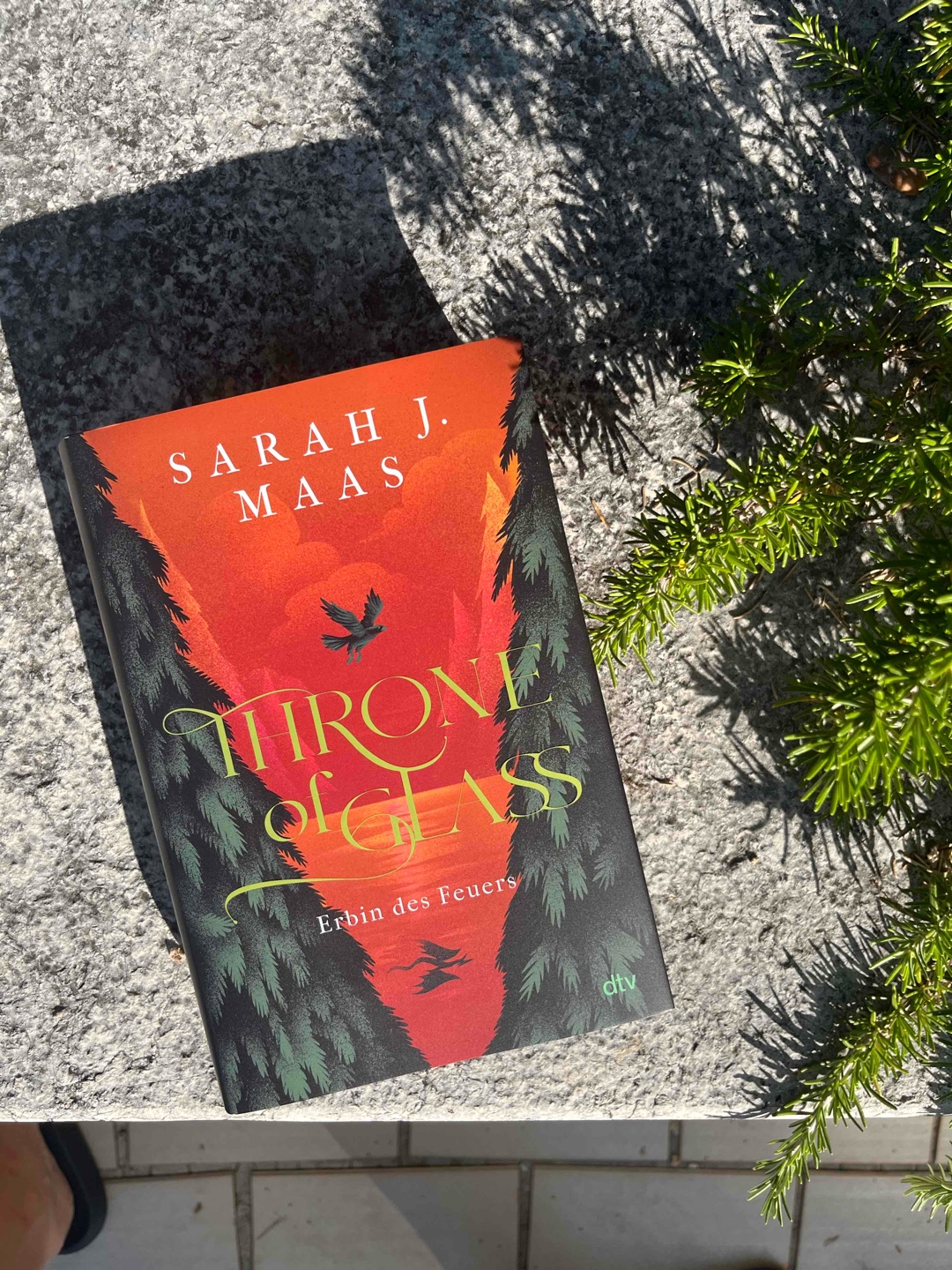 Die verschiedenen Blickwinkel im Buch haben mich anfangs gestört, aber je mehr man über Celaena und die Pläne des Königs erfährt, umso bedeutungsvoller wurden sie. Die Charakterentwicklungen haben mir gut gefallen und Rowan sollte besser der nächste Rhysand werden oder ich flipp aus!! 🤩 Zeit für den nächsten Teil, Zeit für den Kampf mit Arobyn und dass er endlich bekommt was er schon so lange verdient. 🩸