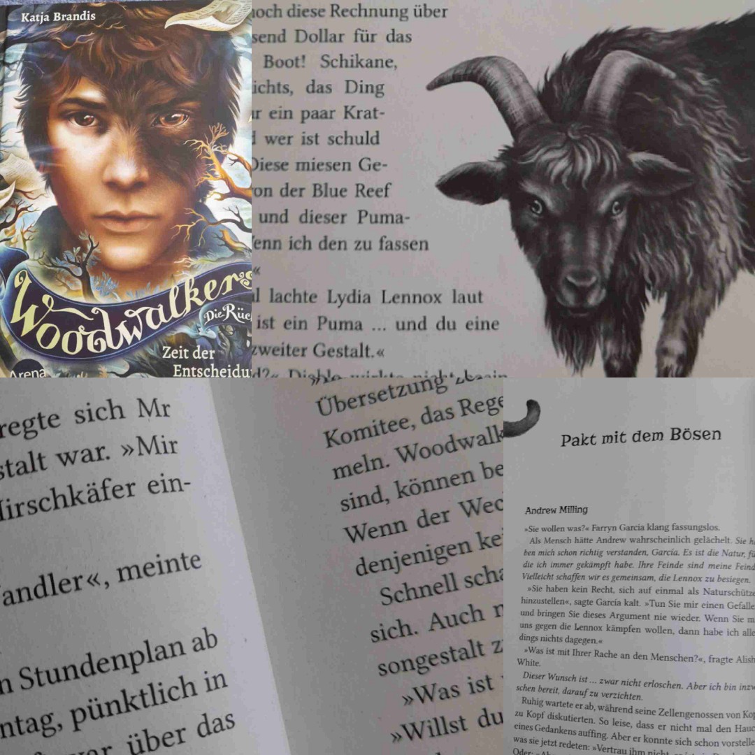 Eine tolle Reise geht zuende📚🌿🐾