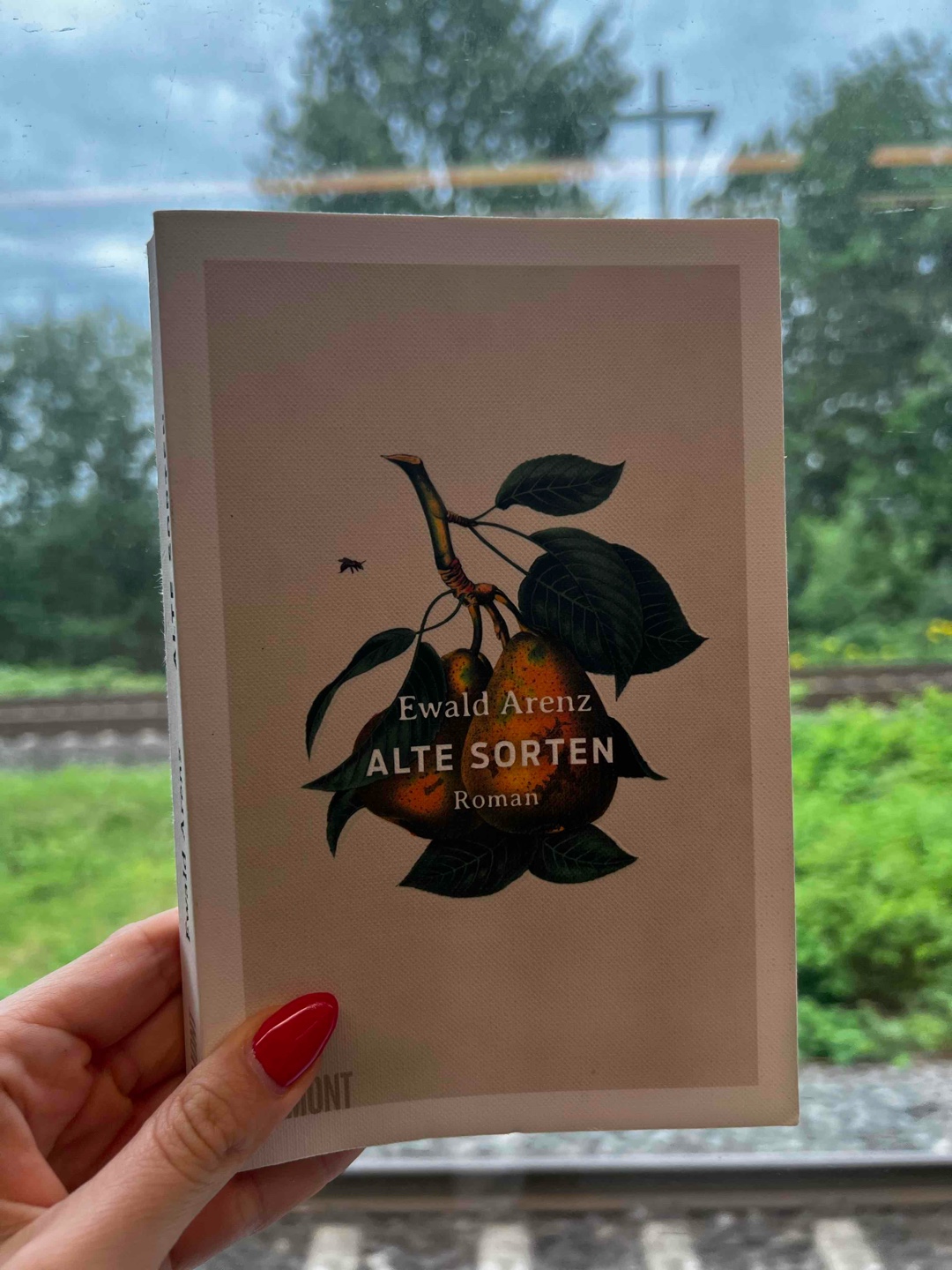Ein stilles Buch, das nachwirkt