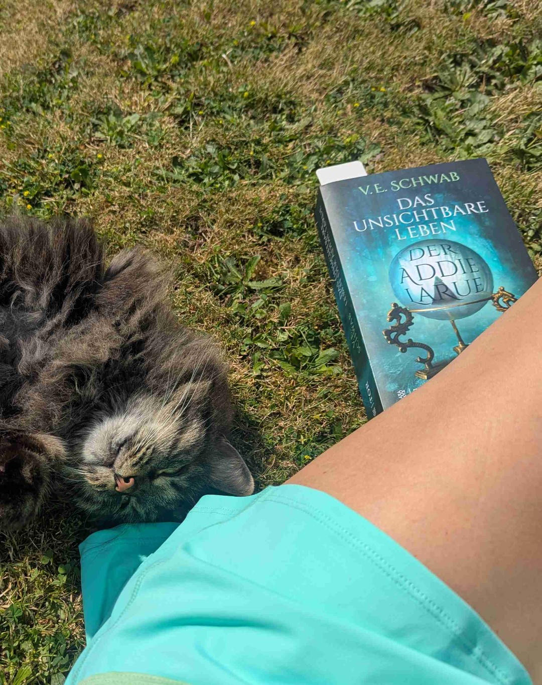 Ein tolles Buch, dass einen durch die Jahrhunderte und den Wandel der Zeit leitet..
Ein Buch das ich zwischendurch pausieren musste um darüber nachzudenken... 
Ein Buch, dass Lust auf Kunst, auf Leichtigkeit und auf das  Leben macht! 