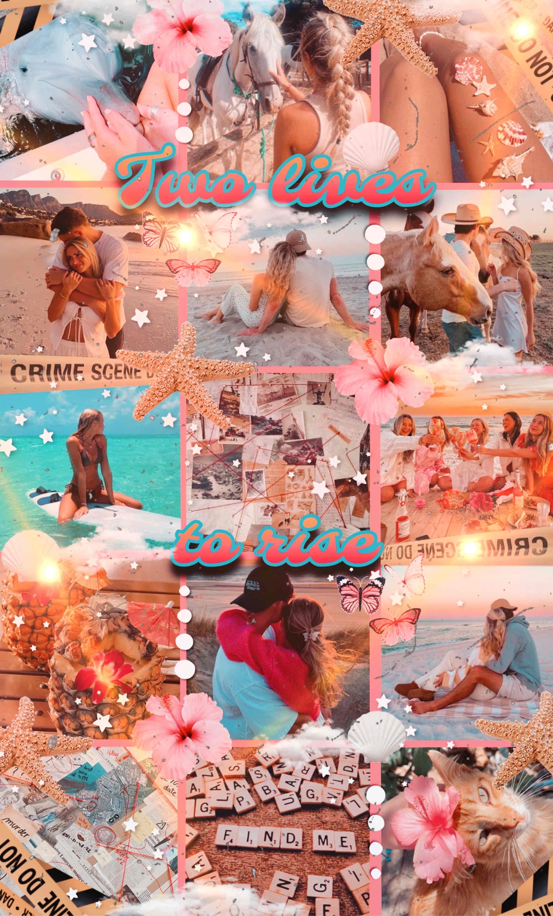 🐬🐚🌺☀️🥥🌊