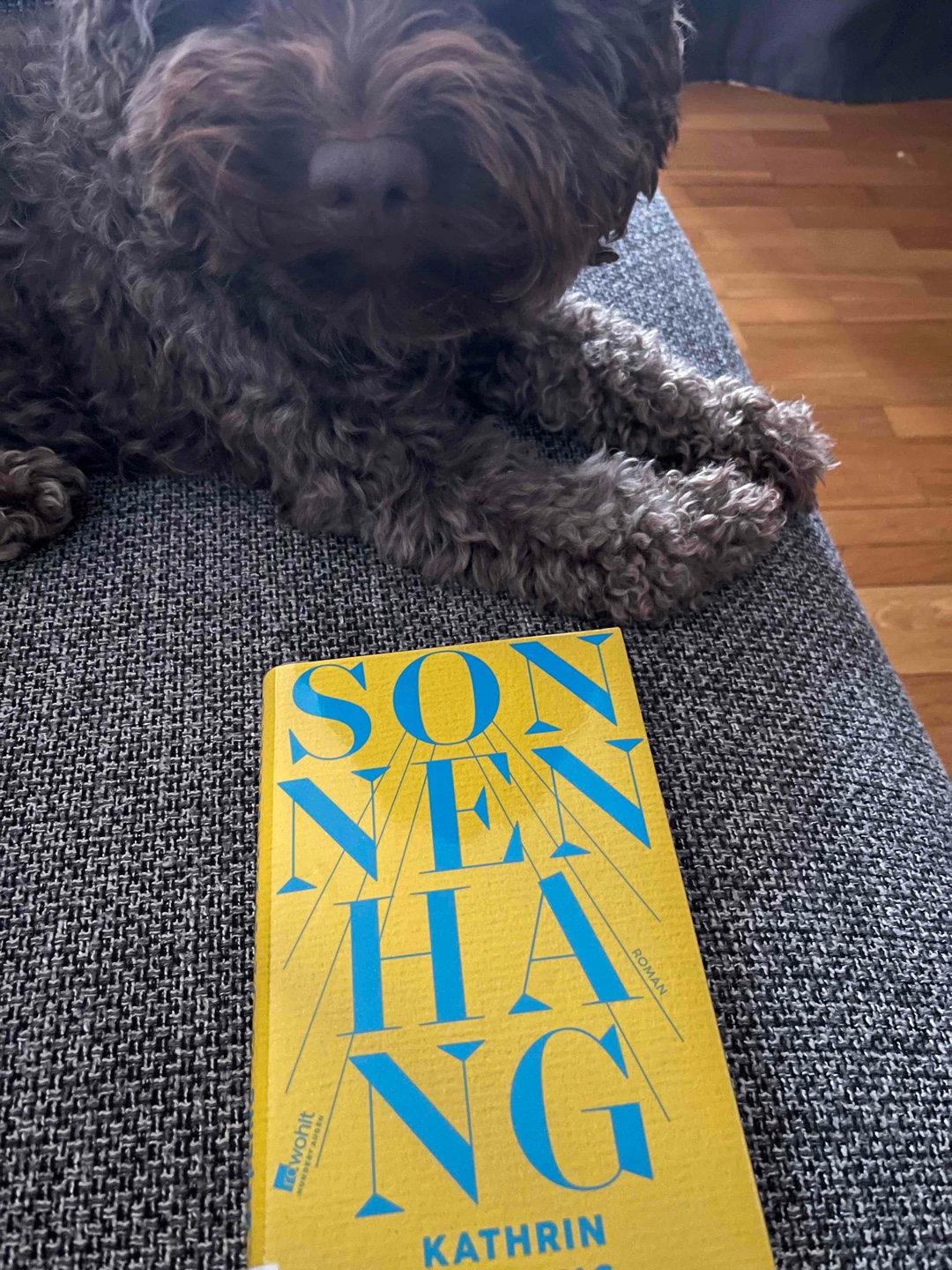 Ich liebe jeden Gedanken, den die Autorin der Protagonistin widmet – sie spricht mir aus der Seele.
