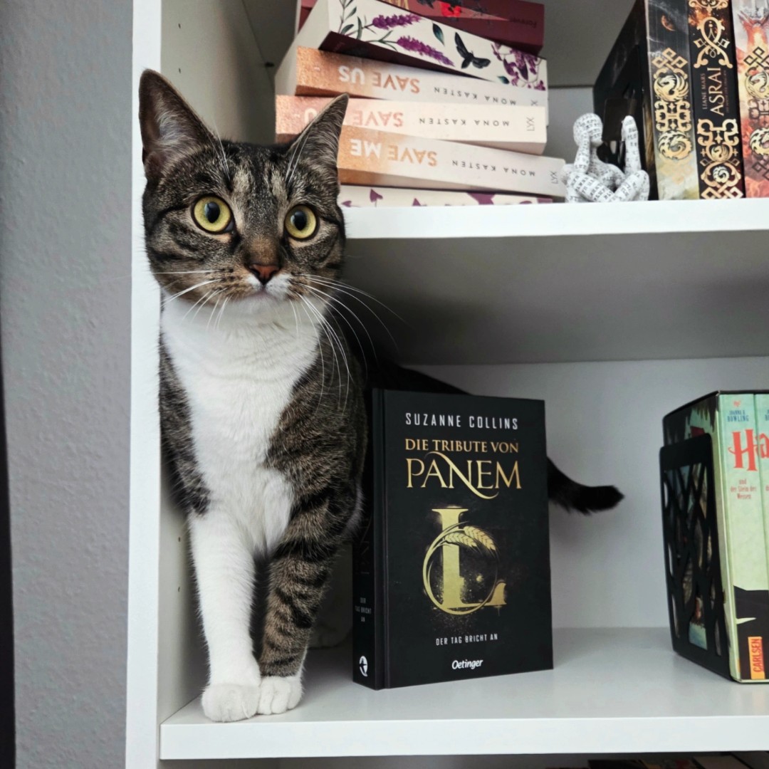 📖 „Die Tribute von Panem L – Der Tag bricht an“ von Suzanne Collins ✨️