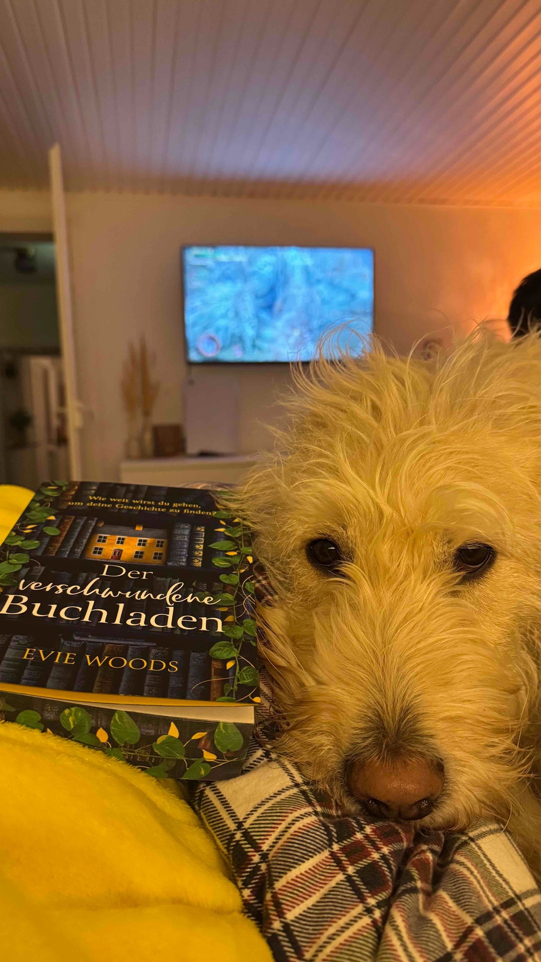 Drei Perspektiven, eine Verbundenheit ✨