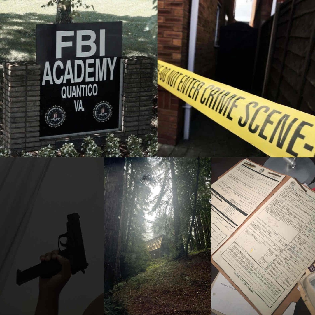 Was, wenn das FBI dein Talent braucht?