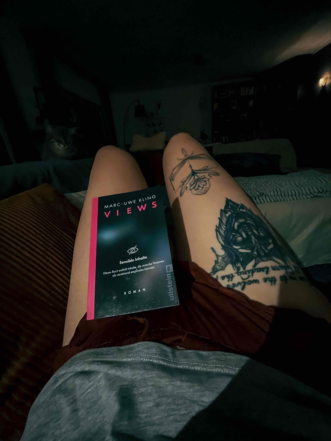 Views ist Klings gelungener, aber ungewöhnlicher Ausflug in das Thriller-Genre!