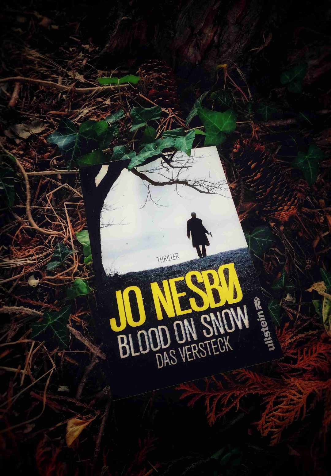 Solider Thriller mit viel Natur...