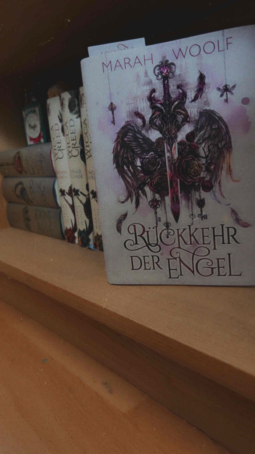 Wie immer ein komplett überzeugendes Werk der Autorin!