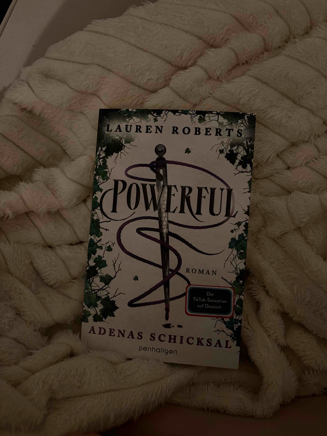 Emotionale Schäden? Dezent.
Happy End? Leider gecancelt. 😮‍💨📚