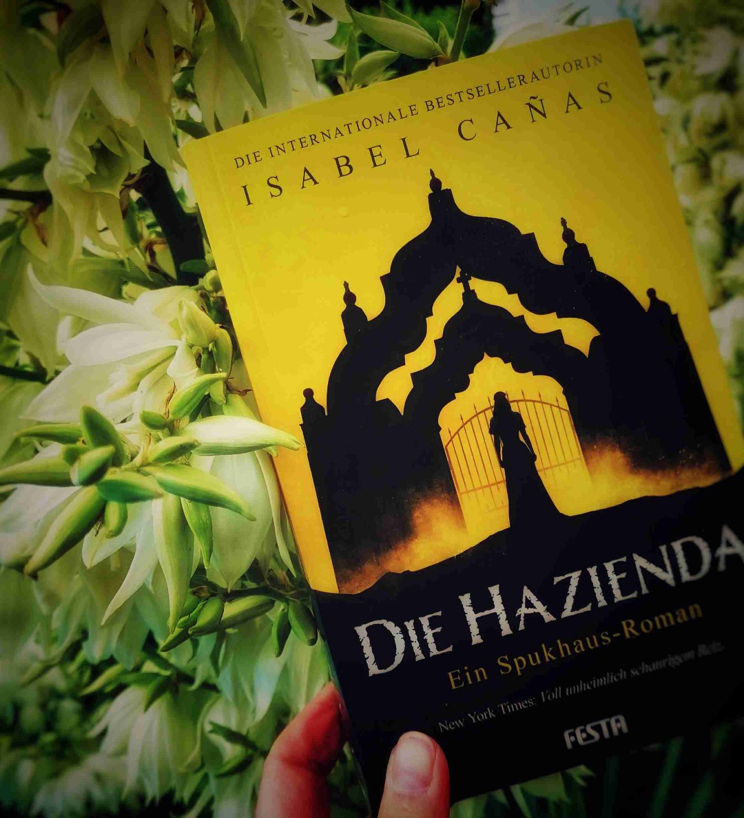 Mexikanischer Horror vom feinsten... 😉