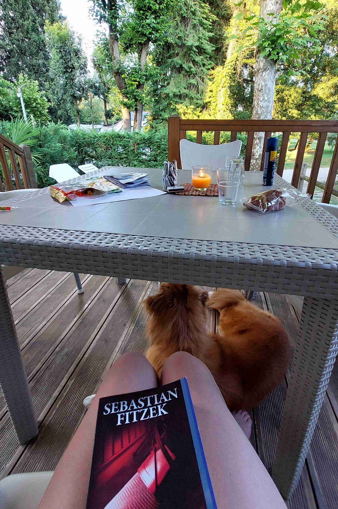 Lange habe ich keinen "Fitzek" mehr gelesen weil die Handlungen mir im Detail zu brutal wurden. Ich vermisste die psychologische Tragik seiner Anfangsjahre und an dieser Stelle sei verraten, dass ich sie bei "Amokspiel" wiederfand und liebte.
Die Handlung fesselte und ließ mich mitfühlen, es ging rasant zu und so manches kam anders als gedacht.
Lediglich der Schluss ärgerte mich massiv - zu weichgekocht, zu Friede Freude, aber naja, dass kann ja jeder selbst entscheiden. Ich fühlte mich gut unterhalten, habe auch manches dazugelernt und denke, dass gäbe eine richtig tolle Verfilmung.