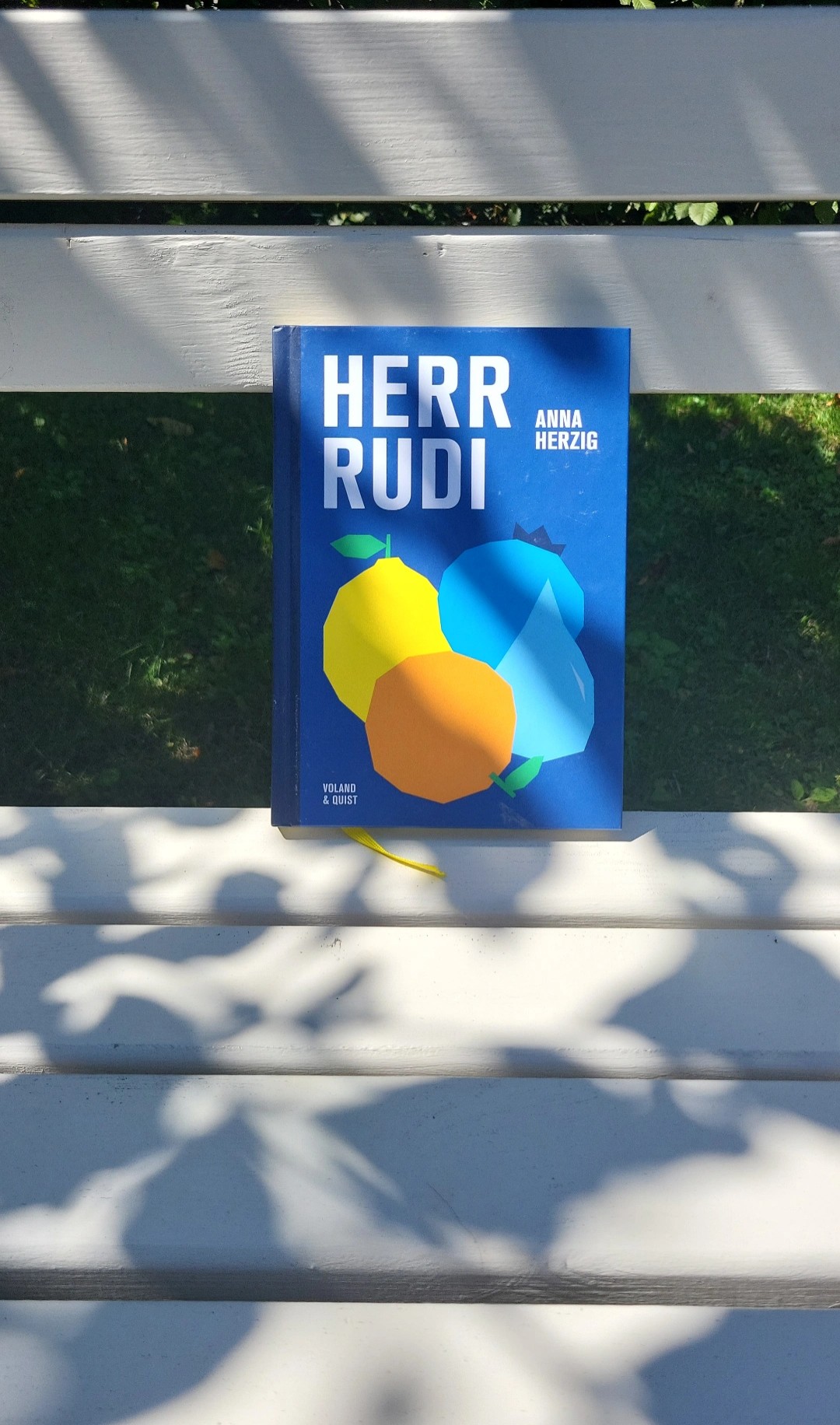 Uff, was für eine wunderschöne, wenn auch herzzerreißende, unfassbar traurige Geschichte über Verlust einer großen Liebe im Angesicht des eigenen nahenden Todes.