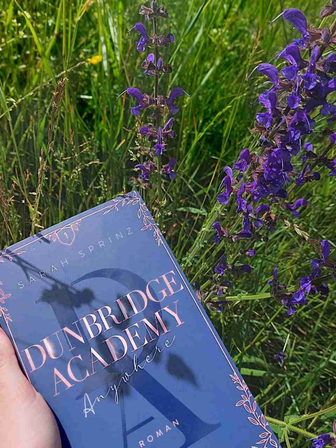 Herzlichen Willkommen auf der Dunbridge Academy
