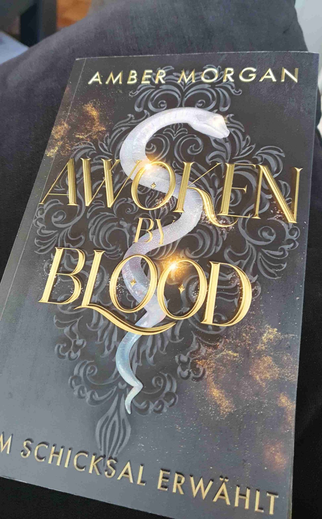 Sehr spannendes, mit sehr viel Humor und Spice geschriebenes Meisterwerk.Lässt jedes Vampire-Lover-Heart höher schlagen.