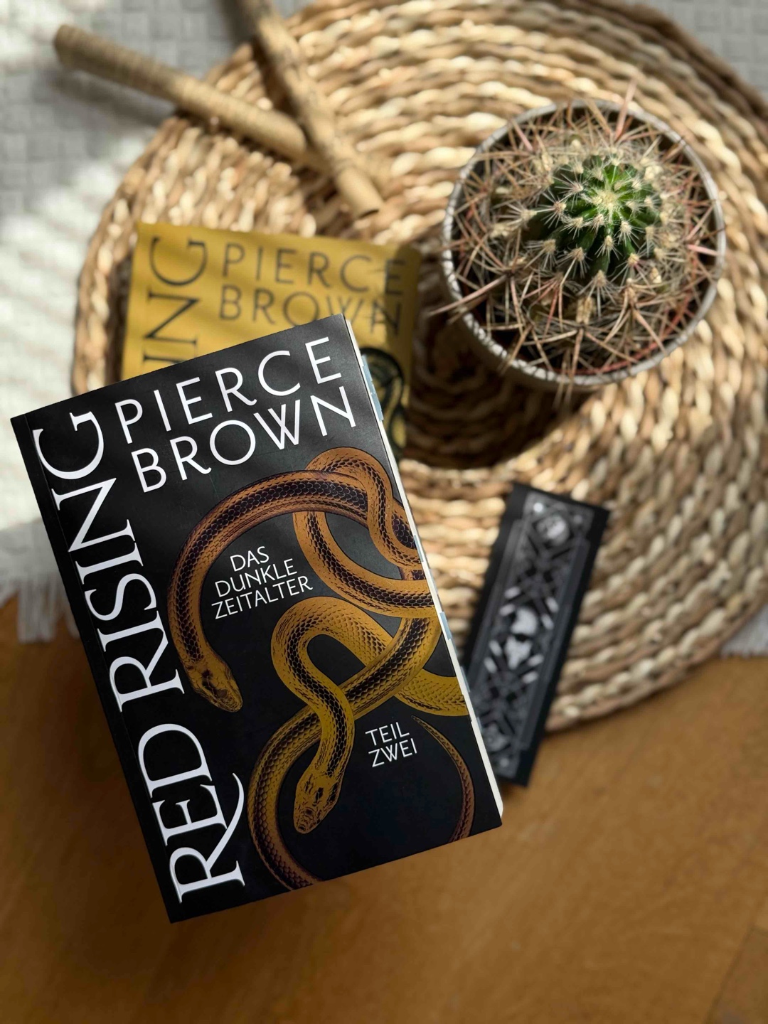 Das ist keine Geschichte. Das ist Kriegsgeschrei.
„Red Rising“ ist längst mehr als Sci-Fi.
Es ist ein psychologisches, politisches, mythologisches Monster von einer Geschichte – und Das Dunkle Zeitalter ist der Beweis dafür.
Du liest es nicht. Du bestehst es. Wenn du Glück hast.