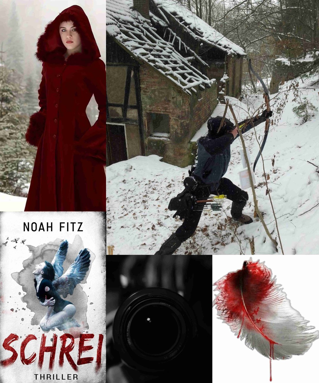 Schrei ein Thriller von Noah Fitz