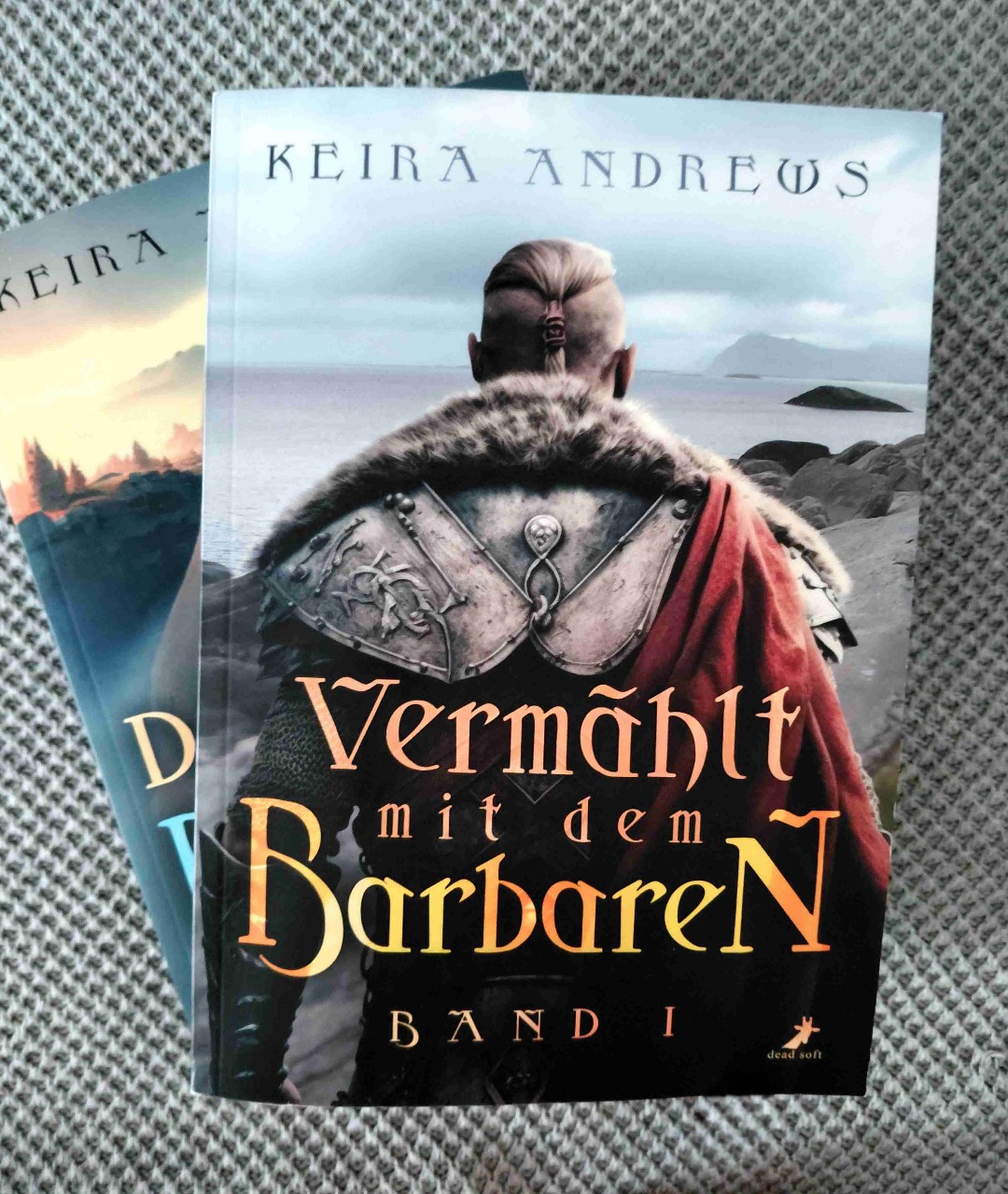 Eine meiner liebsten Romantasy Geschichten. Jem ist so ein toller Character. Cador möchte man in diesem Band schütteln, aber er bekommt seine Chance im Nächsten. 😁