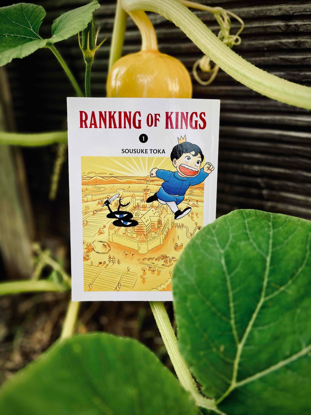 Rührende und spannende High-Fantasy-Geschichte mit Coming-of-Age.