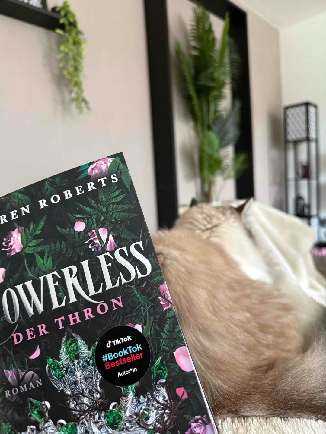 Es gibt nichts schöneres, als mit dieser Aussicht so ein gutes Buch zu lesen? 📚🩷😽