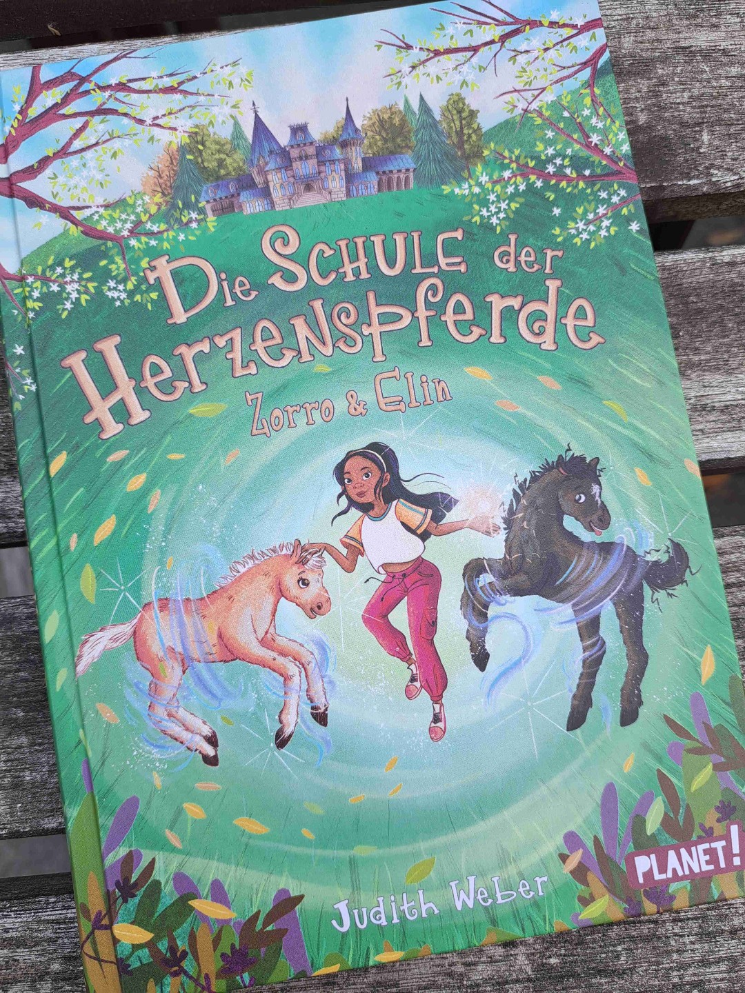 Schönes Buch für alle pferdeliebenden Grundschulkinder mit starken Gefühlen