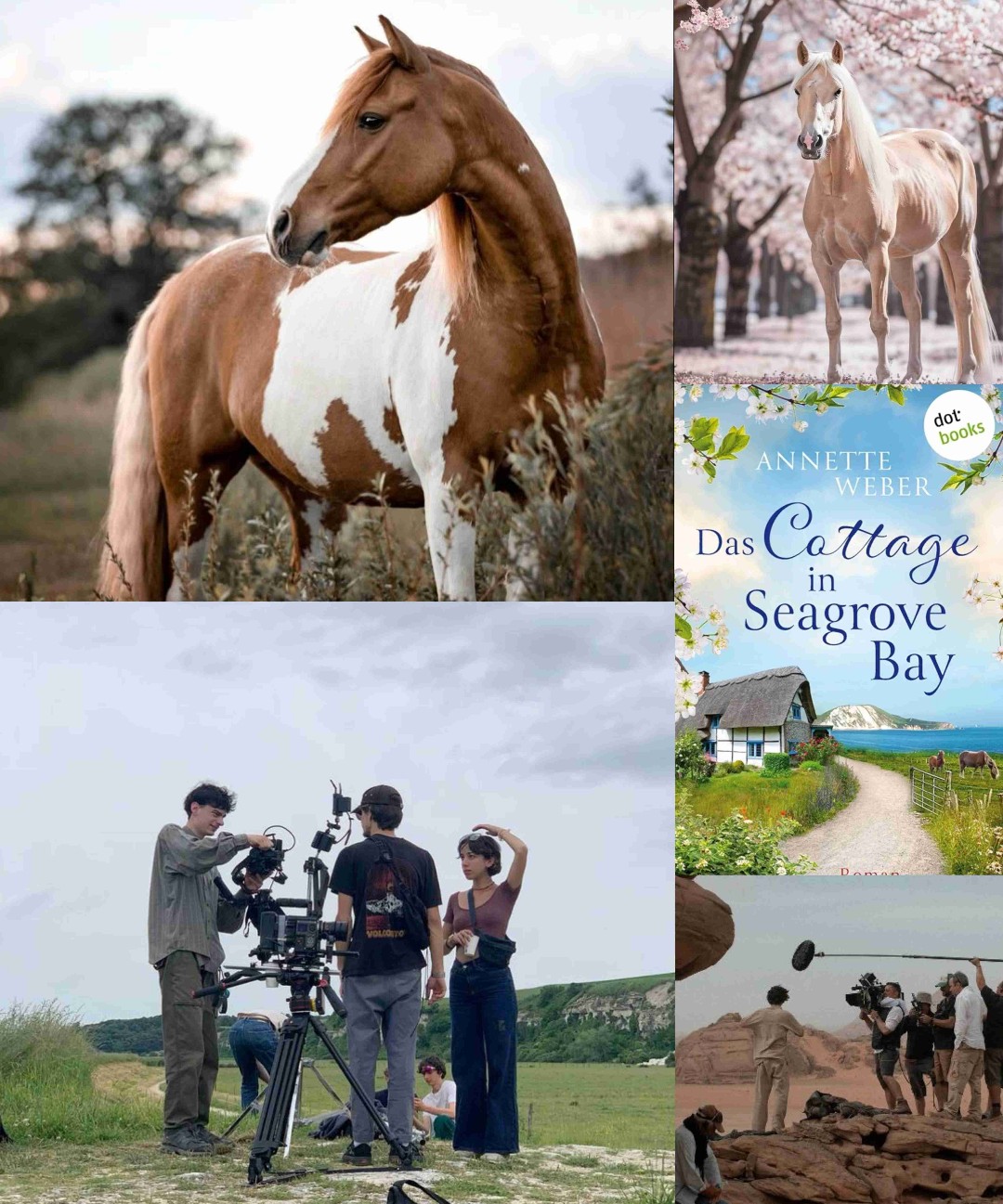 Das Cottage in Seagrove Bay (Verliebt auf der Isle of Wight 1)