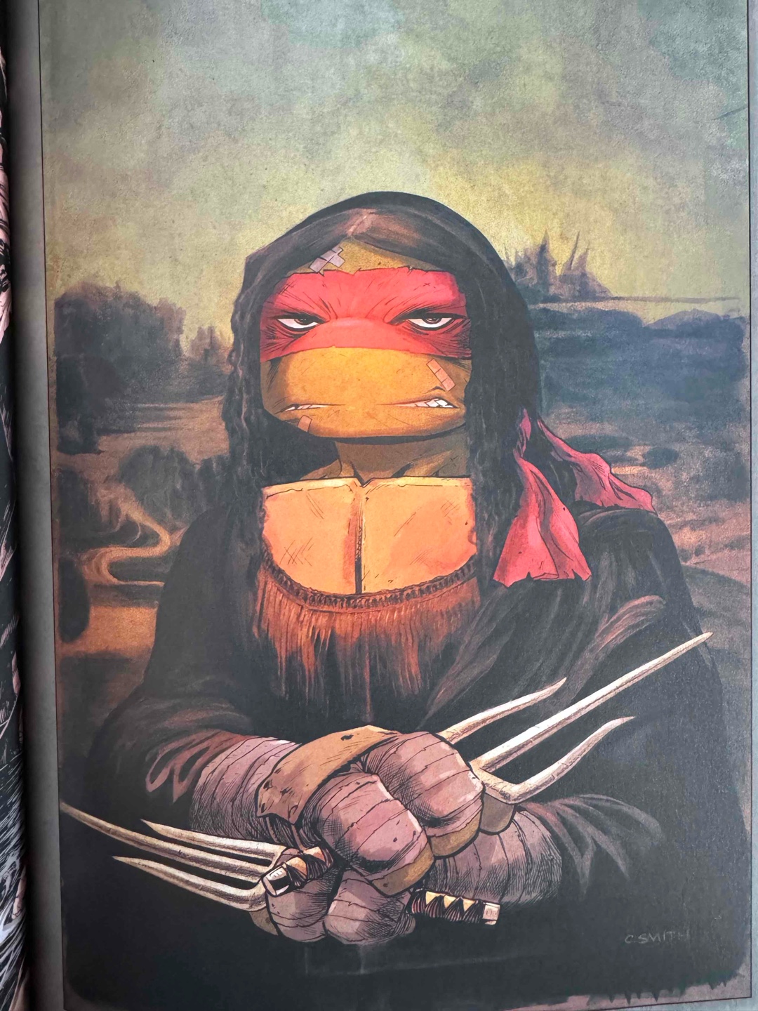 Kein Marvel, kein DC… ihr müsst Turtles lesen!