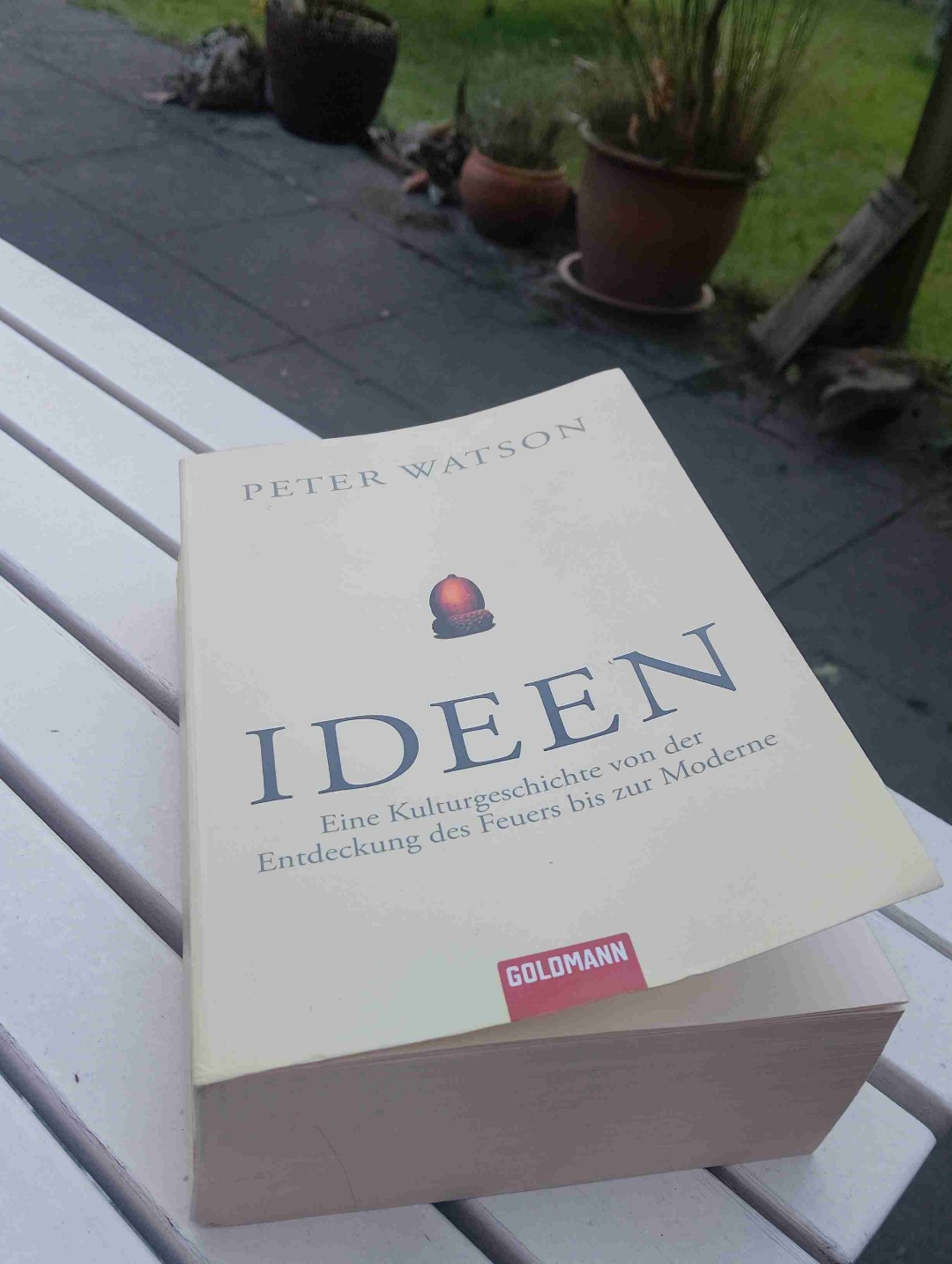 Peter Watsons Ideen ist eine gigantische Reise durch die Denkwelt der Menschheit – von den ersten Steinzeitgrunzern bis zur Psychoanalyse. Das Buch zeigt, wie wir uns über Jahrtausende nicht nur Werkzeuge, sondern auch ganze Gedankengebäude gezimmert haben: Religionen, Sprachen, Philosophie, Naturwissenschaften, politische Systeme. Es ist weniger eine trockene Liste historischer Fakten, sondern vielmehr eine lebendige Chronik der menschlichen Fantasie und Hartnäckigkeit. Immer wieder tauchen Menschen auf, die mit einer Idee alles durcheinanderwirbeln – mal göttlich inspiriert, mal mathematisch genial, mal einfach schräg. Trotz der wuchtigen Themen schreibt Watson klar und spannend, ohne sich in akademischen Fußnoten zu verlieren. So wird aus einer potenziellen Bleiwüste ein mitreißender Streifzug durch das riesige Archiv unseres Geistes. Am Ende bleibt der Eindruck, dass Ideen vielleicht unsere wichtigste Erfindung überhaupt sind: chaotisch, aber auch unendlich faszinierend.