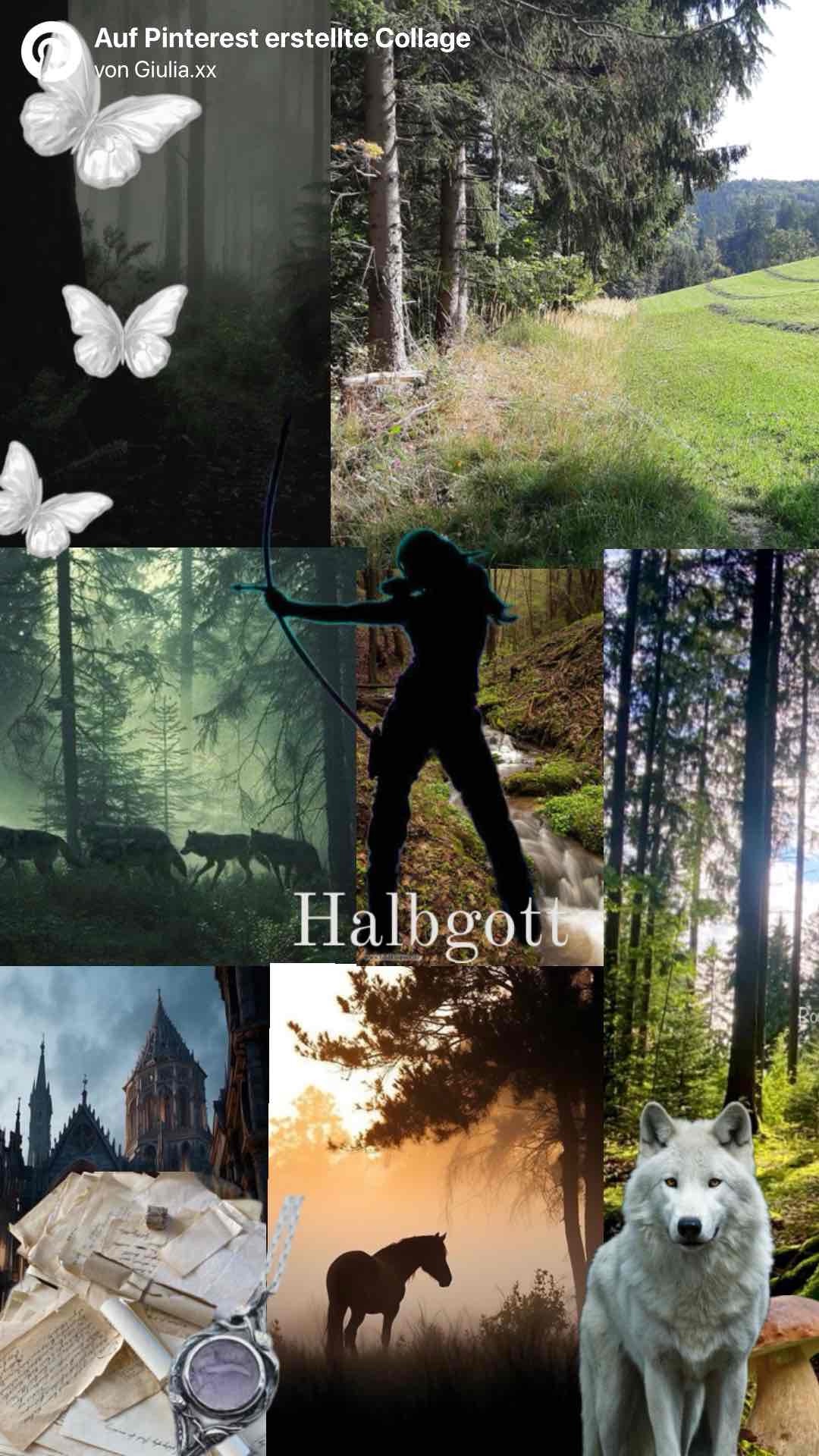 Ich mochte die Fantasy Welt sehr gern,allerdings war der Schreibstil etwas kompliziert.Die Charaktere haben mir auch gut gefallen,obwohl der Perspektiven Wechsel sehr schnell war.