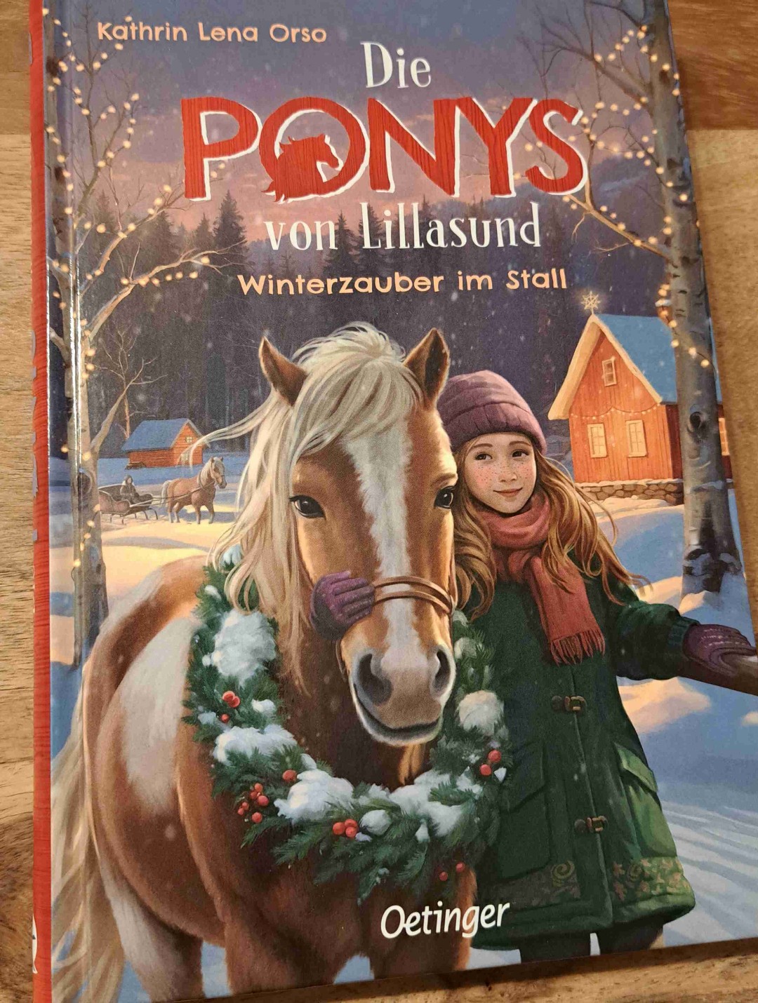 Zauberhafte Wintergeschichte auf einer kleinen schwedischen Insel mit Ponys, guten Freunden und ganz viel Schnee