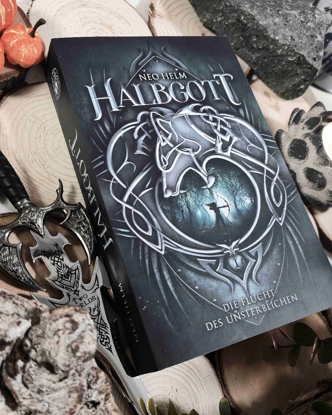 Toller Hig-Fantasy Auftakt einer Trilogie ☝️